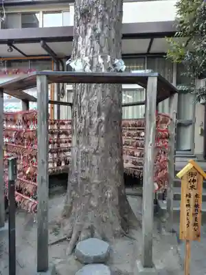 越谷香取神社(埼玉県)