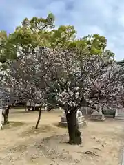 屯倉神社(大阪府)