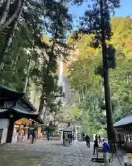 飛瀧神社（熊野那智大社別宮）(和歌山県)