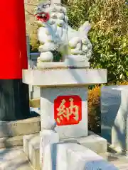 加波山神社真壁拝殿の狛犬