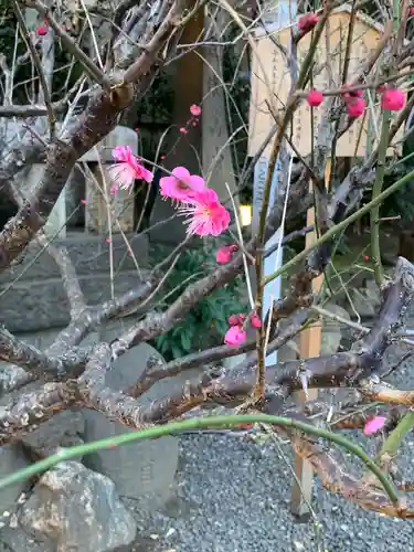 小野照崎神社(東京都)