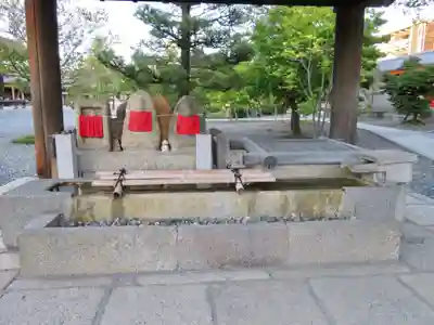 蓮華王院(三十三間堂)の手水舎