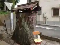 愛宕神社の自然
