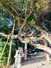 豊藤稲荷神社の建物その他