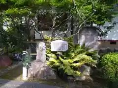 義仲寺の建物その他