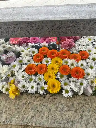 竹駒神社の{uncategorized: "未分類", other: "その他", undefined: "問題あり", building: "その他建物", grave: "お墓", sacred_gate: "鳥居", guardian: "狛犬", statue: "像", buddha: "仏像", history: "歴史", nature: "自然", garden: "庭園", animal: "動物", pagoda: "塔", temizu: "手水舎", mountain_gate: "山門・神門", sanctuary: "本殿・本堂", subordinate: "末社・摂社", art: "芸術", scenery: "景色", jizo: "地蔵", ema: "絵馬", goshuin: "御朱印", omikuji: "おみくじ", items: "授与品その他", amulet: "お守り", goshuincho: "御朱印帳", eats: "食事", festival: "お祭り", votive_dance: "神楽", shichigosan: "七五三参", wedding: "結婚式", experience: "体験その他", initially: "初詣", around: "周辺", anti_infection: "感染症対策"}