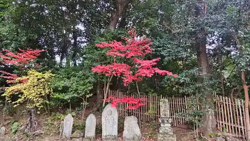 白毫寺(奈良県)