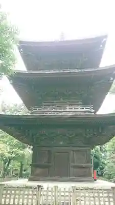 豪徳寺のその他建物