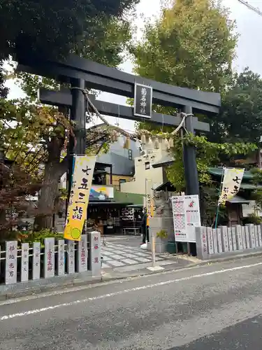 菊名神社の鳥居