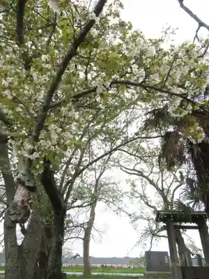 神明神社(千葉県)