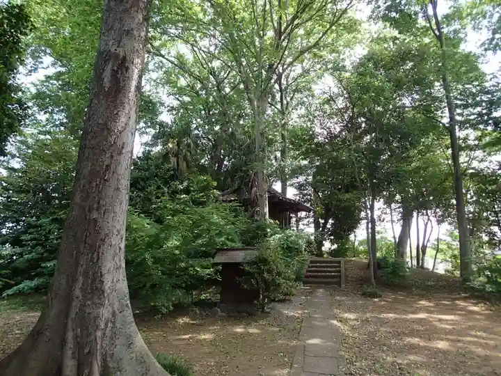 姫宮神社の自然