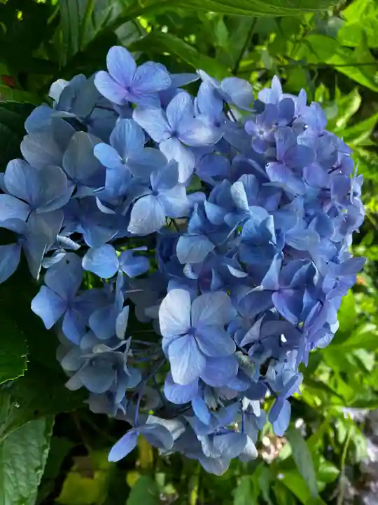 長谷寺(奈良県)