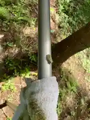 八幡神社の動物