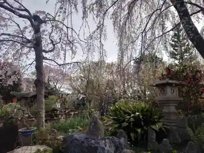 常泉寺(神奈川県)