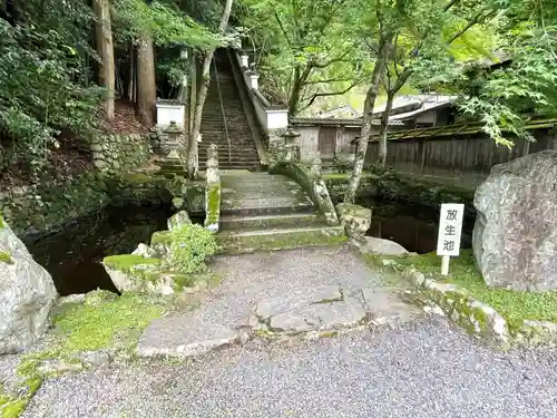 西教寺(滋賀県)