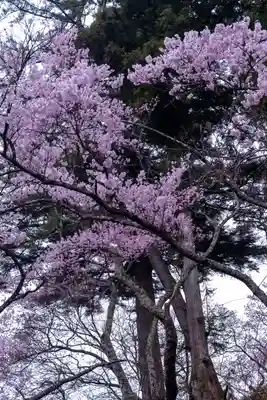 新城藤原神社(長野県)