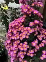 大宮温泉神社の自然