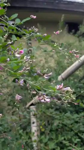 梨木神社(京都府)