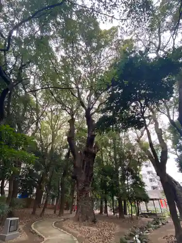 生田神社の自然