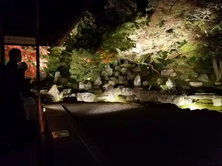 高台寺(高台寿聖禅寺・高臺寺)の庭園