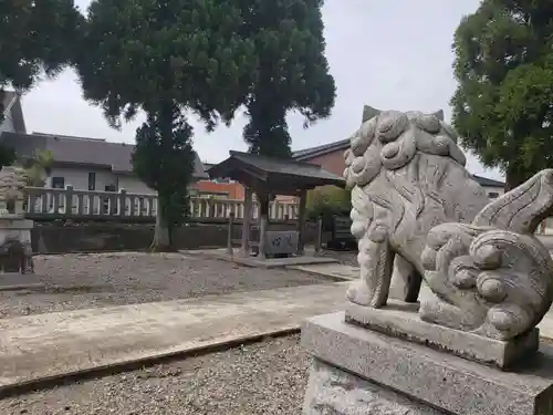 小泉神社の狛犬