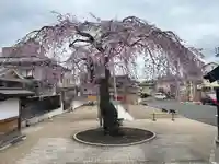 善正寺(宮城県)