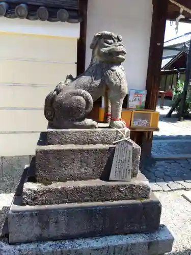 御霊神社の狛犬