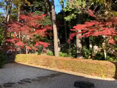 妙法寺(東京都)