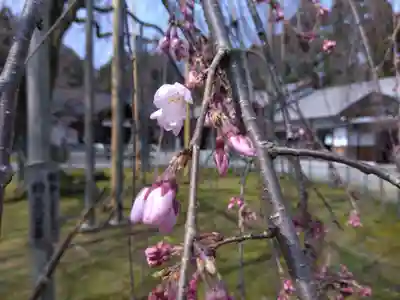 足羽神社(福井県)