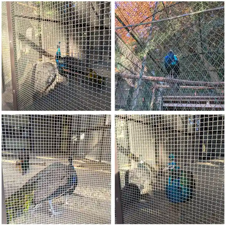 岩槻久伊豆神社(埼玉県)