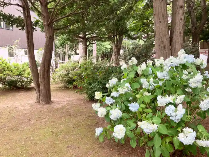 北広島市総鎮守 廣島神社(北海道)