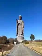 東本願寺本廟 牛久浄苑（牛久大仏）(茨城県)