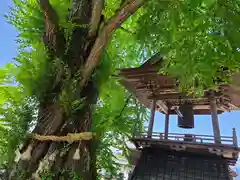 北向観音の建物その他