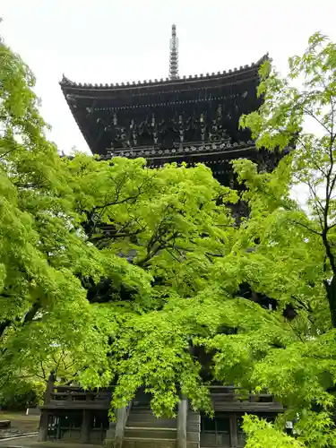 真正極楽寺（真如堂）(京都府)