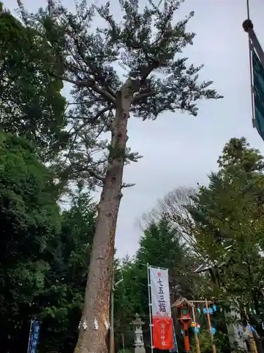 滑川神社 - 仕事と子どもの守り神(福島県)