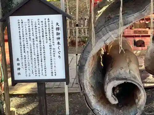 眞田神社(長野県)