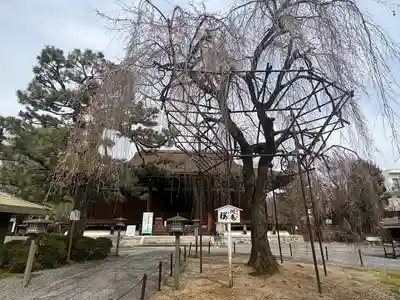 大報恩寺（千本釈迦堂）(京都府)