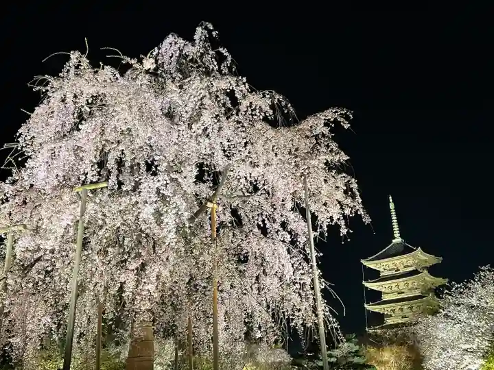東寺(教王護国寺)(京都府)