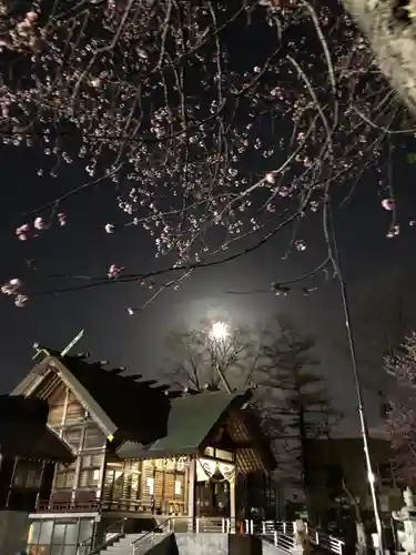 信濃神社の本殿