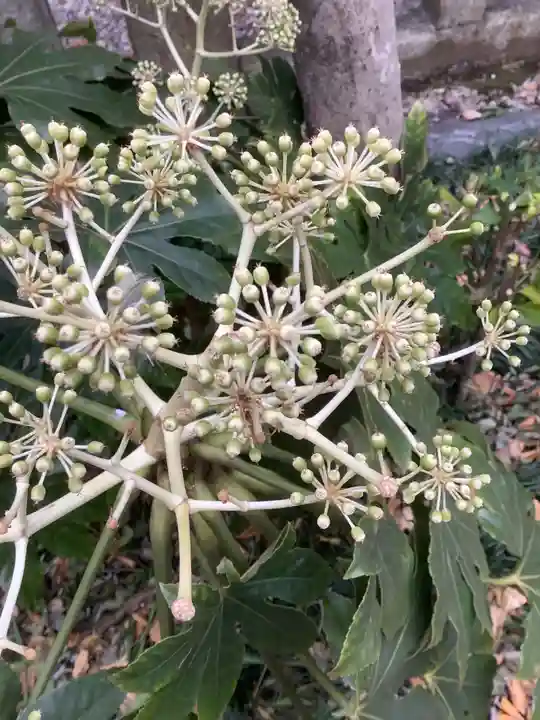 三輪神社の自然