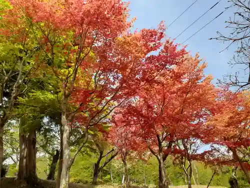 飯野川亀ヶ森八幡神社(宮城県)