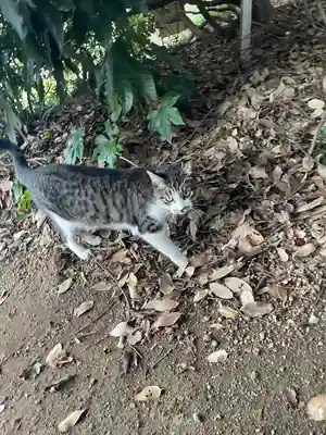 前玉神社(埼玉県)