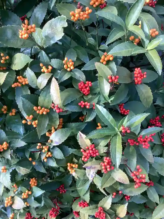 三輪神社の自然