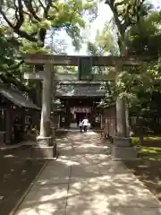 赤坂氷川神社の鳥居