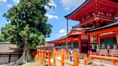 春日大社(奈良県)