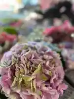 札幌諏訪神社の手水舎