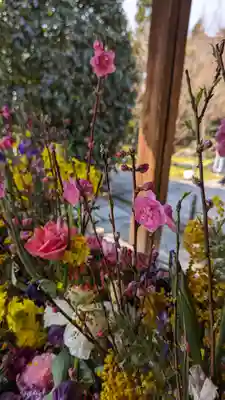 勝林寺(京都府)