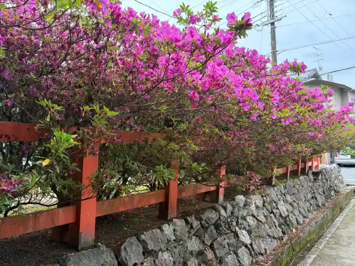 大田神社(賀茂別雷神社境外摂社)の{uncategorized: "未分類", other: "その他", undefined: "問題あり", building: "その他建物", grave: "お墓", sacred_gate: "鳥居", guardian: "狛犬", statue: "像", buddha: "仏像", history: "歴史", nature: "自然", garden: "庭園", animal: "動物", pagoda: "塔", temizu: "手水舎", mountain_gate: "山門・神門", sanctuary: "本殿・本堂", subordinate: "末社・摂社", art: "芸術", scenery: "景色", jizo: "地蔵", ema: "絵馬", goshuin: "御朱印", omikuji: "おみくじ", items: "授与品その他", amulet: "お守り", goshuincho: "御朱印帳", eats: "食事", festival: "お祭り", votive_dance: "神楽", shichigosan: "七五三参", wedding: "結婚式", experience: "体験その他", initially: "初詣", around: "周辺", anti_infection: "感染症対策"}