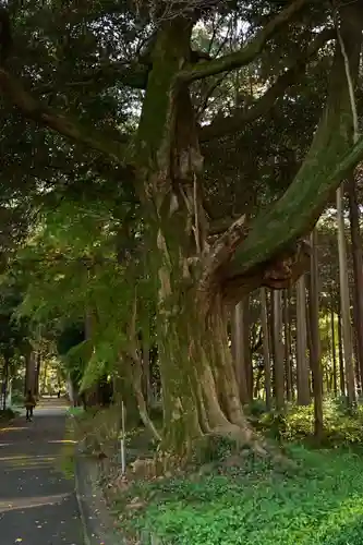 瑞応寺(愛媛県)