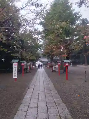 鷲宮神社(埼玉県)